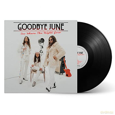 Goodbye June: See Where The Night Goes [Winyl]