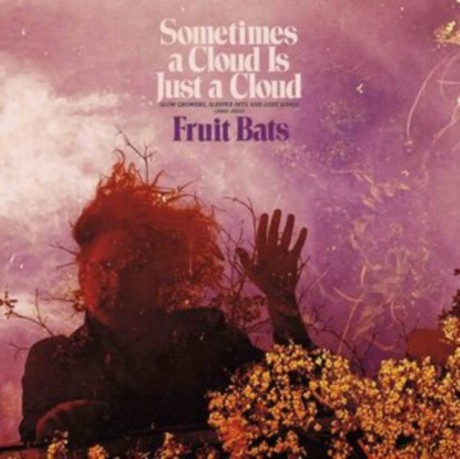 Fruit Bats: Sometimes A Cloud Is Just A Cloud: Slow Growers. Sleeper Hits And Lost Songs (2001-2021) [Winyl]