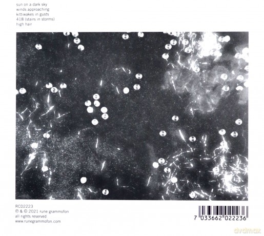 Hedvig Mollestad: Tempest Revisited [CD]