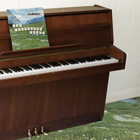 Grandaddy: The Sophtware Slump..... On A Wooden Piano [Winyl]