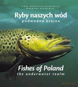 Ryby Naszych Wód Podwodna Kraina Wer.Pol I Ang [KSIĄŻKA]