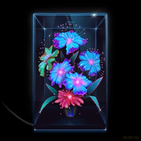 Xenia Rubinos: Una Rosa [CD]
