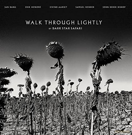 Dark Star Safari: Walk Through Lightly [Winyl]
