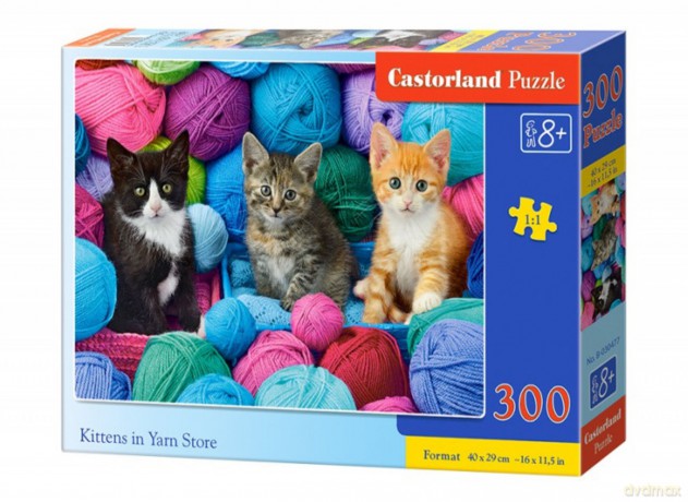 CASTORLAND 300 el. Kotki w kłębkach wełny [PUZZLE]