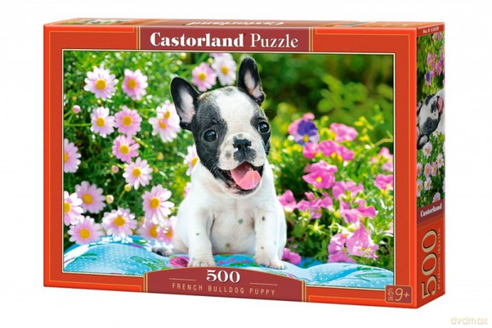 CASTORLAND 500 el. Pieski buldożki francuskie [PUZZLE]
