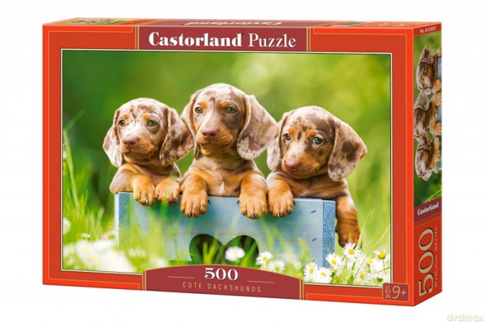 CASTORLAND 500 el. Pieski urocze jamniki [PUZZLE]
