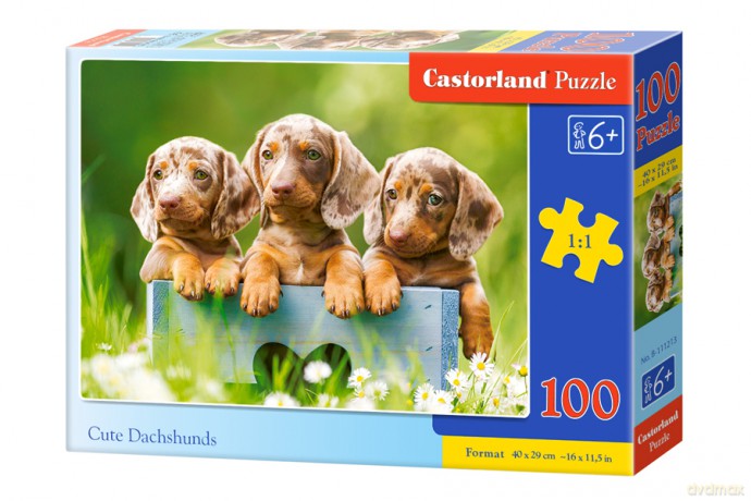 CASTORLAND 100 el. Urocze jamniki B-111213 [PUZZLE]