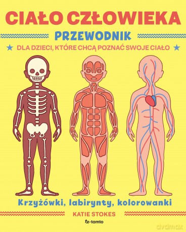 Ciało człowieka. Przewodnik dla dzieci, które chcą poznać swoje ciało - Katie Stokes [KSIĄŻKA]