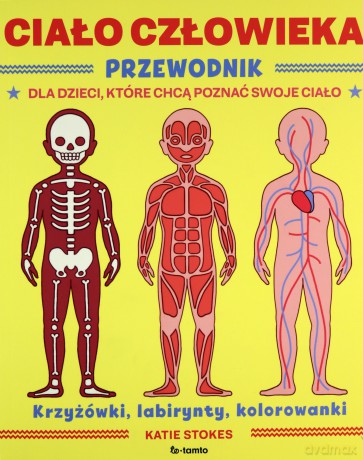 Ciało człowieka. Przewodnik dla dzieci, które chcą poznać swoje ciało - Katie Stokes [KSIĄŻKA]