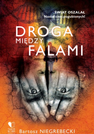 Droga między falami - Bartosz Niegrebecki [KSIĄŻKA]
