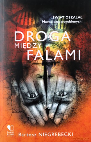 Droga między falami - Bartosz Niegrebecki [KSIĄŻKA]