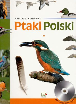 Ptaki Polski T.I (twarda) - Andrzej G. Kruszewicz [KSIĄŻKA]+[CD]