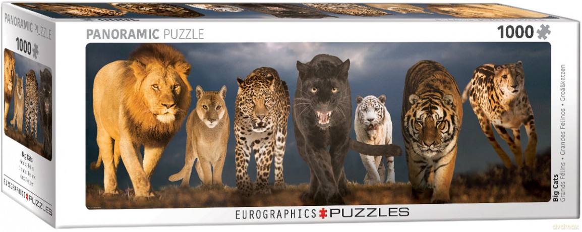 EUROGRAPHICS 1000 el. Panoramic Big Cats [PUZZLE]