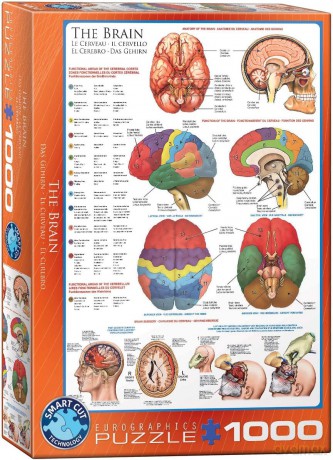 EUROGRAPHICS 1000 el. The Brain 6000-0256 [PUZZLE]