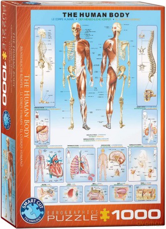 EUROGRAPHICS 1000 el. The Human Body 6000-1000 [PUZZLE]
