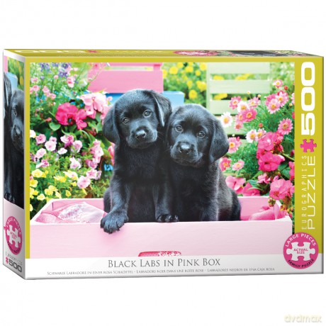 EUROGRAPHICS 500 el. Black Labs in Pink Box 6500-5462 [PUZZLE]