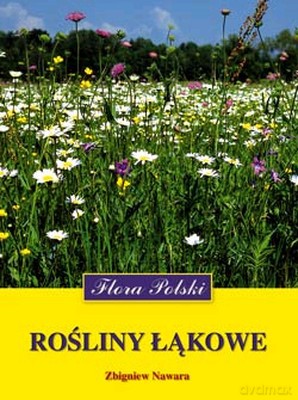 Rośliny Łąkowe Flora Polski - Zbigniew Nawara [KSIĄŻKA]