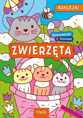 Kolorowanki z kluczem. Zwierzęta [KSIĄŻKA]