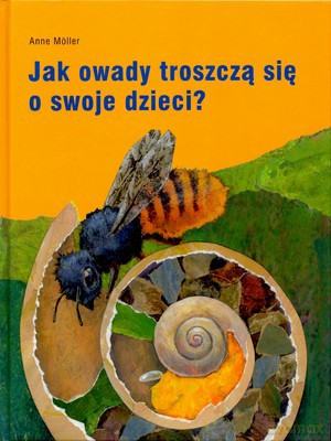Jak Owady Troszczą Się O Swoje Dzieci (twarda) - Anne Moller [KSIĄŻKA]