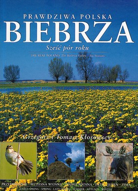 Prawdziwa Polska Biebrza Wer.Pol/Ang (twarda) [KSIĄŻKA]