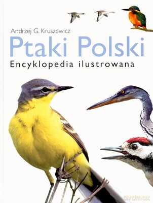 Ptaki Polski Encyklopedia Ilustrowana (twarda) - Andrzej G. Kruszewicz [KSIĄŻKA]