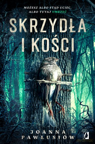 Skrzydła i kości - Joanna Pawłusiów [KSIĄŻKA]