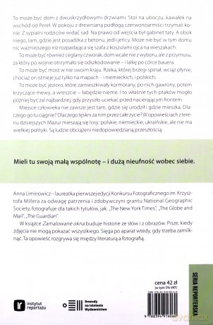 Zamalowane okna - Anna Limanowicz [KSIĄŻKA]