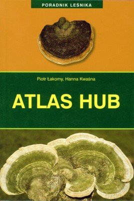 Atlas Hub - Hanna Kwaśna, Piotr Łakomy [KSIĄŻKA]