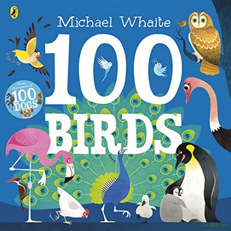 100 Birds - Michael Whaite [KSIĄŻKA]