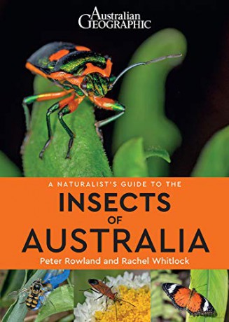 A A Naturalist's Guide to the Insects of Australia - Rachel Whitlock [KSIĄŻKA]