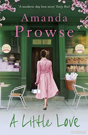 A Little Love - Amanda Prowse [KSIĄŻKA]
