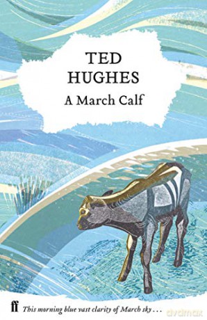 A March Calf: Collected Animal Poems Vol 3 - Ted Hughes [KSIĄŻKA]