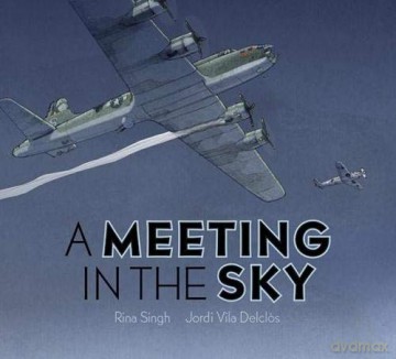 A Meeting in the Sky - Rina Singh [KSIĄŻKA]