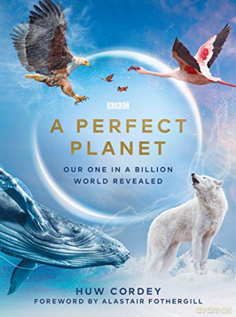 A Perfect Planet - Huw Cordey [KSIĄŻKA]