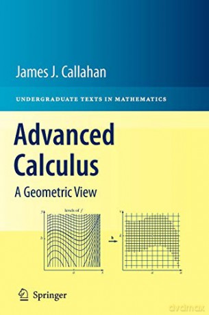 Advanced Calculus: A Geometric View (Undergraduate Texts in Mathematics) - James J. Callahan [KSIĄŻKA]