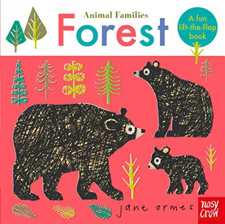 Animal Families: Forest - Jane Ormes [KSIĄŻKA]
