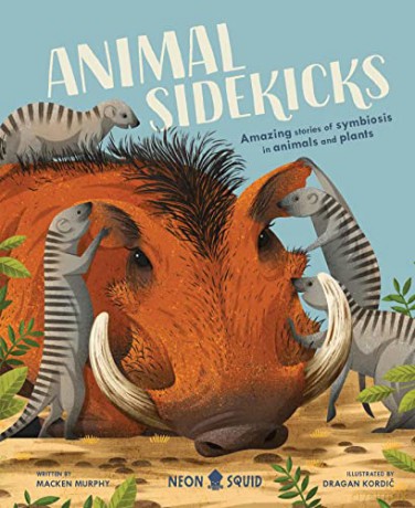 Animal Sidekicks: Amazing Stories of Symbiosis in Animals and Plants (UK Edition) - Macken Murphy [KSIĄŻKA]