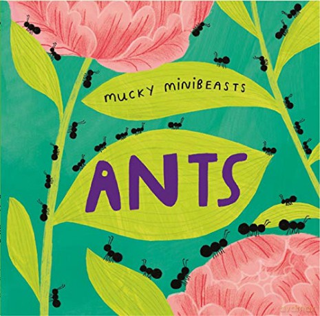 Ants (Mucky Minibeasts) - Susie Williams [KSIĄŻKA]