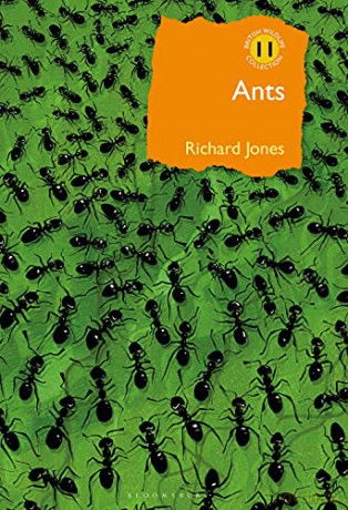 Ants: The ultimate social insects (British Wildlife Collection) - Richard Jones [KSIĄŻKA]