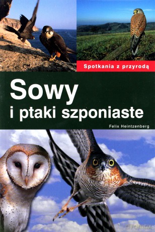 Sowy I Ptaki Szponiaste - Felix Heintzenberg [KSIĄŻKA]