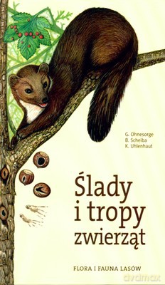 Ślady I Tropy Zwierząt (twarda) [KSIĄŻKA]