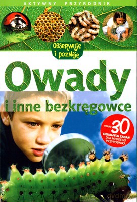 Owady I Inne Bezkręgowce Aktywny Przyrodnik [KSIĄŻKA]