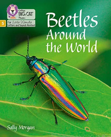 Beetles Around the World: Phase 5 (Big Cat Phonics for Little Wandle Letters and Sounds Revised) - Sally Morgan [KSIĄŻKA]