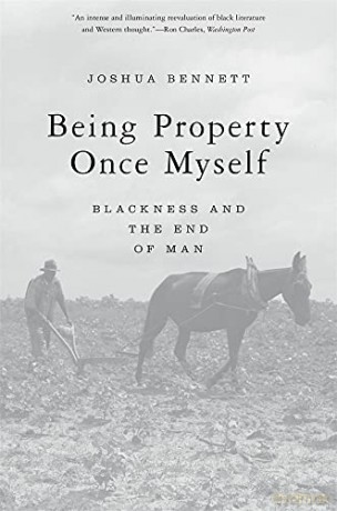 Being Property Once Myself: Blackness and the End of Man - Bennett [KSIĄŻKA]