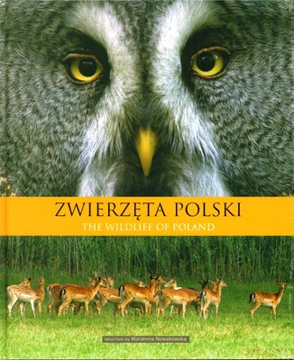 Zwierzęta Polski (twarda) - Marzanna Nowakowska [KSIĄŻKA]