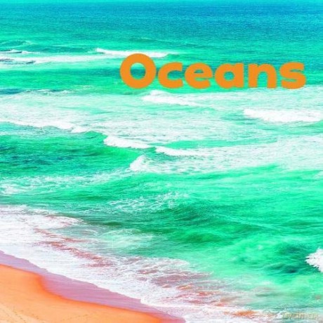 Bodies of Water: Oceans - Erika L. Shores [KSIĄŻKA]