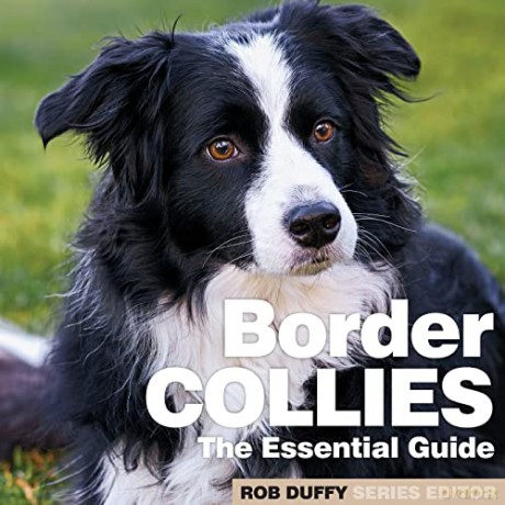 Border Collies: The Essential Guide - Robert Duffy [KSIĄŻKA]