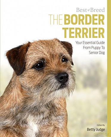 Border Terrier Best of Breed: Your Essential Guide from Puppy to Senior Dog - Betty Judge [KSIĄŻKA]