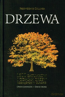 Przewodnik Collinsa Drzewa (twarda) - Owen Johnson, David More [KSIĄŻKA]