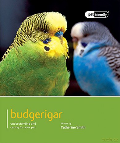 Budgerigar: Pet Friendly - Budgerigar - Catherine Smith [KSIĄŻKA]